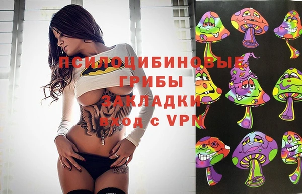 сатива Абдулино