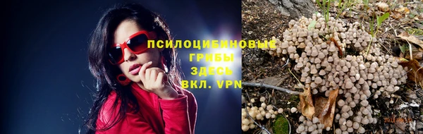 мяу мяу мука Абинск