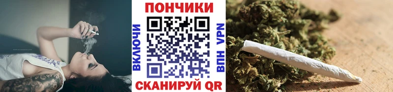 Шишки марихуана марихуана  Мосальск 